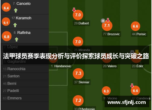 法甲球员赛季表现分析与评价探索球员成长与突破之路