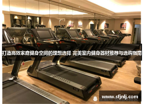 打造高效家庭健身空间的理想选择 完美室内健身器材推荐与选购指南