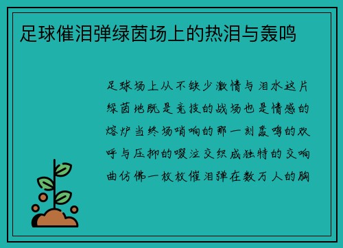 足球催泪弹绿茵场上的热泪与轰鸣